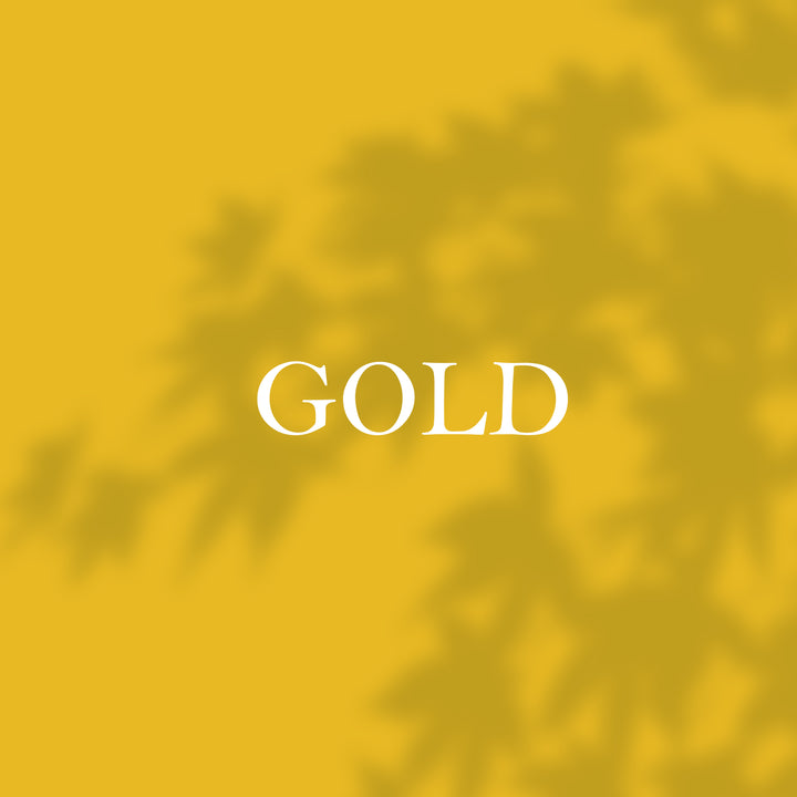 Premium Flyer Design Services